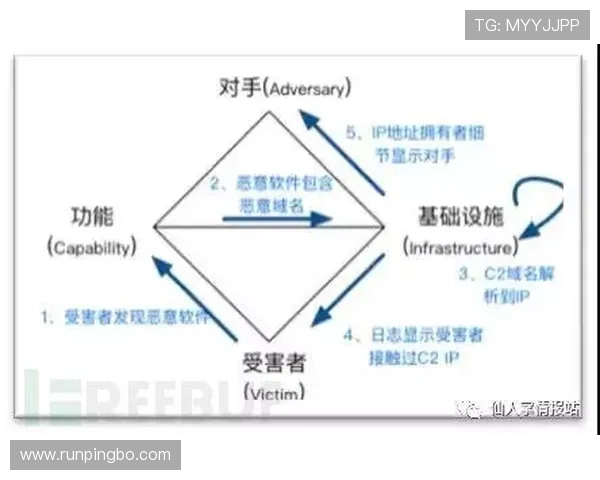 穆西亚拉与帕尔默的进攻效率和创造能力差异解析